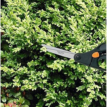 Ножницы садовые для травы Fiskars Solid™ S50 (1000557)