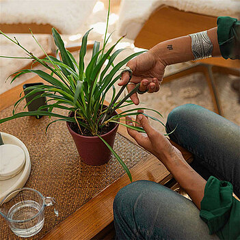Ножницы для комнатных растений Fiskars Plant Care (1075315)