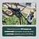 Аккумуляторная цепная пила Metabo MS 18 LTX 15 Set с телескопической ручкой (691229000) - без аккумулятора и зарядного устройства Аккумуляторная цепная пила Metabo MS 18 LTX 15 Set с телескопической ручкой (691229000) - без аккумулятора и зарядного устройства