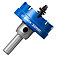 Коронка по металу Bosch Expert Sheet Metal Arbored HS 54 мм (2608902010)