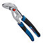 Клещи переставные Bosch Professional 250 мм с кнопочным фиксатором (1600A02W3N)